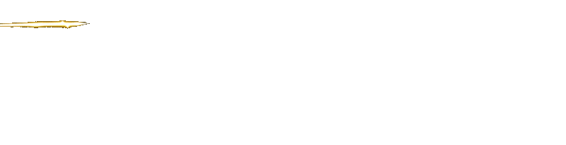 JAWARA88